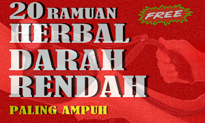 Racikan Obat Tradisional Darah Screenshot 2