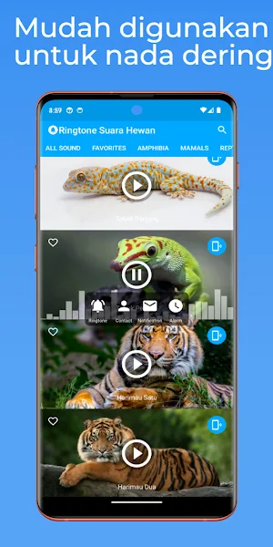 Ringtone Suara Hewan Screenshot 2