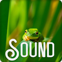 Asian Grass Frog Sounds