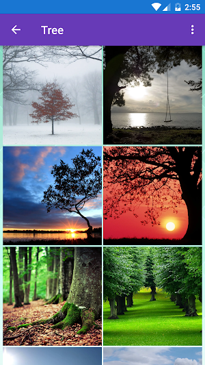 Garden, Landscape, Spring, Tree Wallpapers Screenshot 0