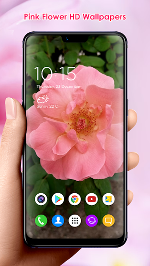 Pink Flower HD Wallpapers Screenshot 3