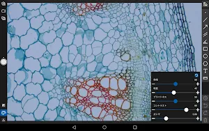 Spectman Screenshot 1