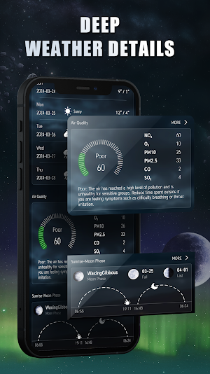 Weather Forecast Professor Screenshot 3