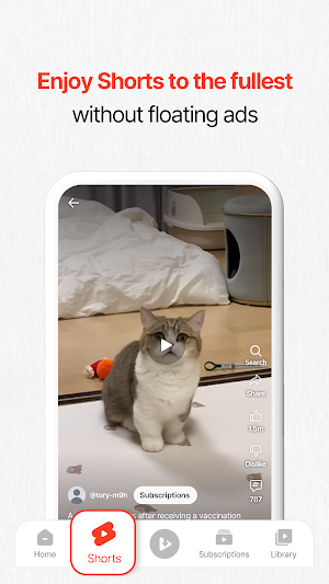 ezDown LITE Screenshot 3