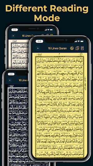 Al Quran: Holy Quran Majeed Screenshot 2
