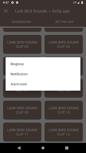 Lark Bird Sound Collections ~ Sclip.app Screenshot 2
