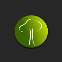 CEAV - app da igreja