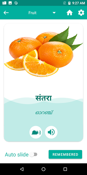 Malayalam Hindi Translator Screenshot 3