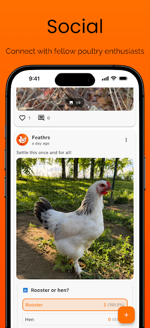 Feathrs Screenshot 3