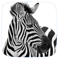 Zebra Sounds