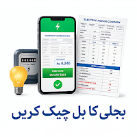 Electricity Bill Check Online