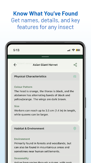 Bug Identifier By Picture Screenshot 3