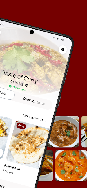 Taste of Curry Screenshot 1