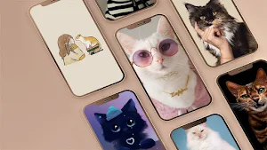 My Cute Cats Wallpapers HD Screenshot 0