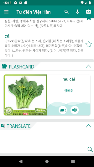 Vietnamese Korean Dictionary Screenshot 0