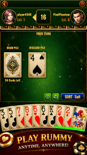Gin Rummy Show Screenshot 0