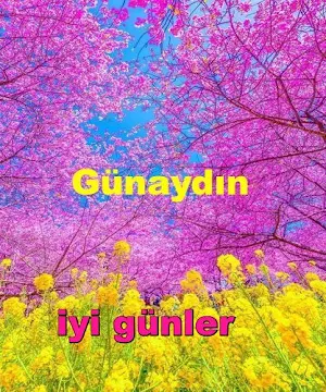 Günaydın, akşamlar ve geceler Screenshot 0