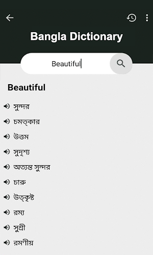 bangla to english dictionary and translation Screenshot 3