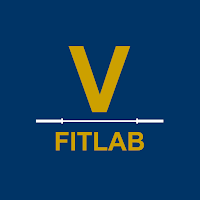 VFitLab