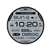 SamWatch Digital V