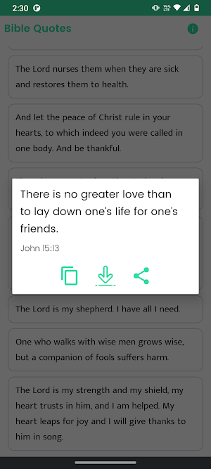 Bible Quotes and Sayings Screenshot 2