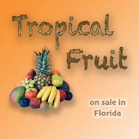 Tropical Fruit in Floridas