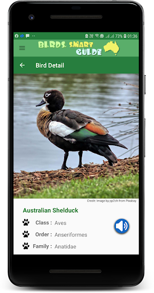 Australia Birds ID Screenshot 2