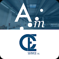 Audit Manager - CEService