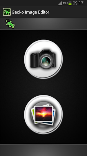Gecko photo image editor Screenshot 0