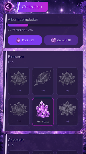 Betfun for fun: Casino App Screenshot 3