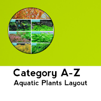 Aquatic Plant Identifier