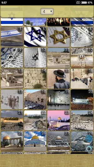 Israel WVGA Wallpaper Screenshot 2