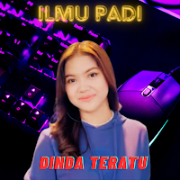 Ilmu Padi - Dinda Teratu