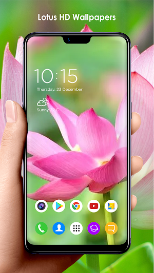 Lotus HD Wallpapers Screenshot 3