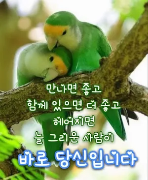 Beautiful greetings Screenshot 0