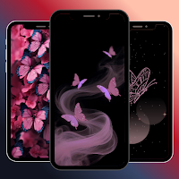Butterfly Wallpaper HD 4K