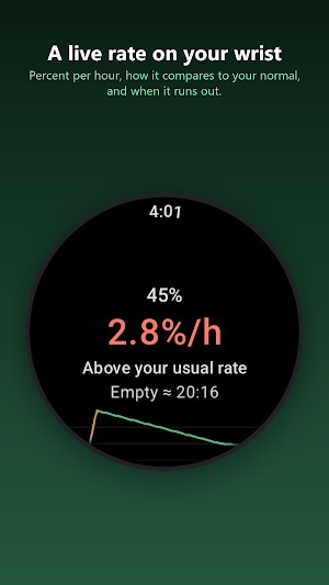 WattWatch: Watch Battery Screenshot 1