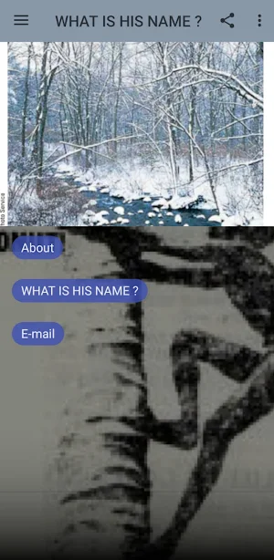 WHAT IS HIS NAME? Screenshot 0