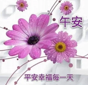 午安,早安 Screenshot 2