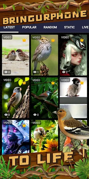 sparrow wallpaper Screenshot 1