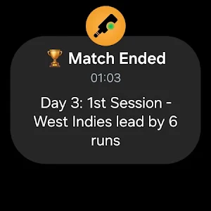 Cricket Watch Screenshot 2