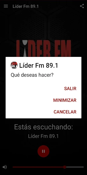 Líder FM 89.1 Screenshot 2