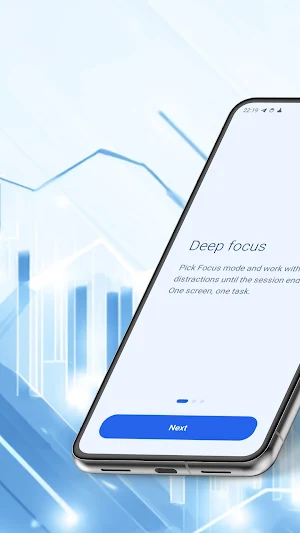 Income Flow Screenshot 2