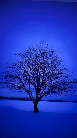 Blue Wallpapers Screenshot 1