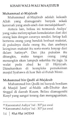 Wali-Wali Jadzab Screenshot 3