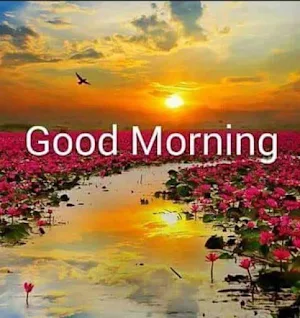 Good Morning Images Screenshot 2