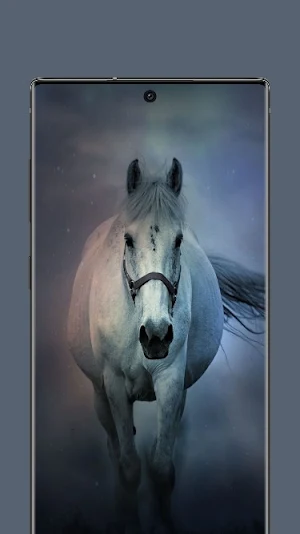 Live horse Wallpaper Screenshot 2