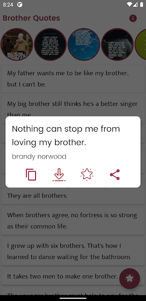 Brother Quotes and Sayings Screenshot 2