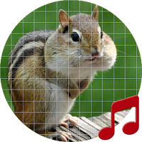 Chipmunk Sounds ~ Sboard.pro