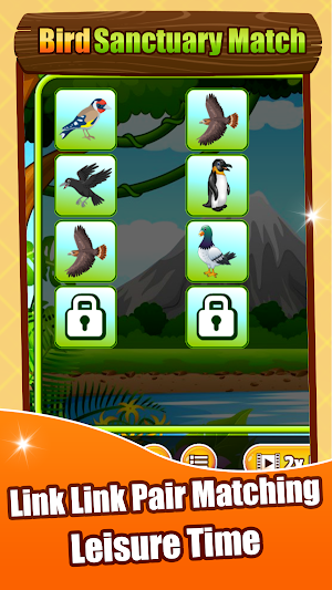 Bird Sanctuary Match Screenshot 1